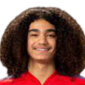 https://img.adqyhotel.com/img/football/player/87359ed9061cfd73513d827263deebcd.png